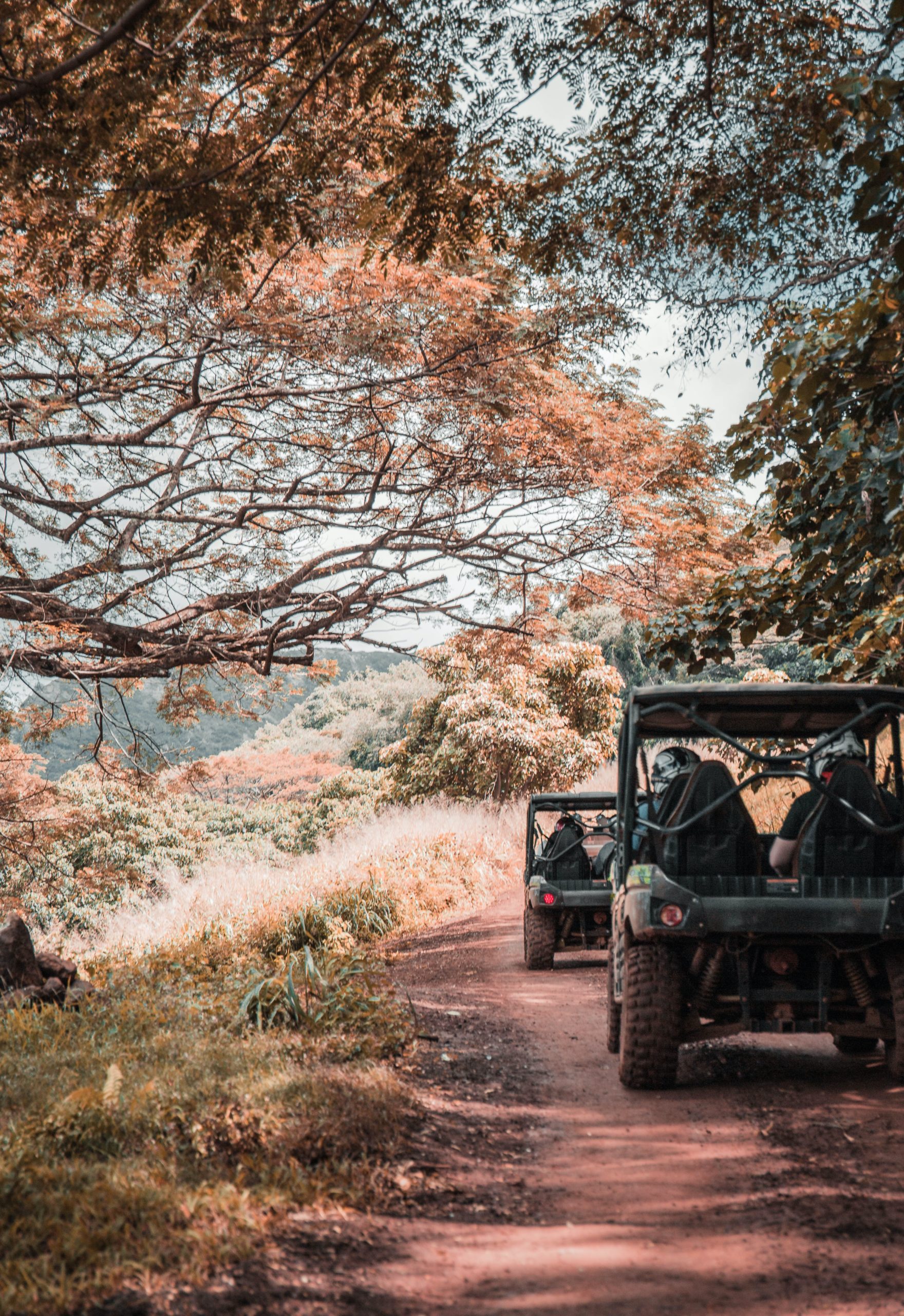 Actividades naturales en buggy