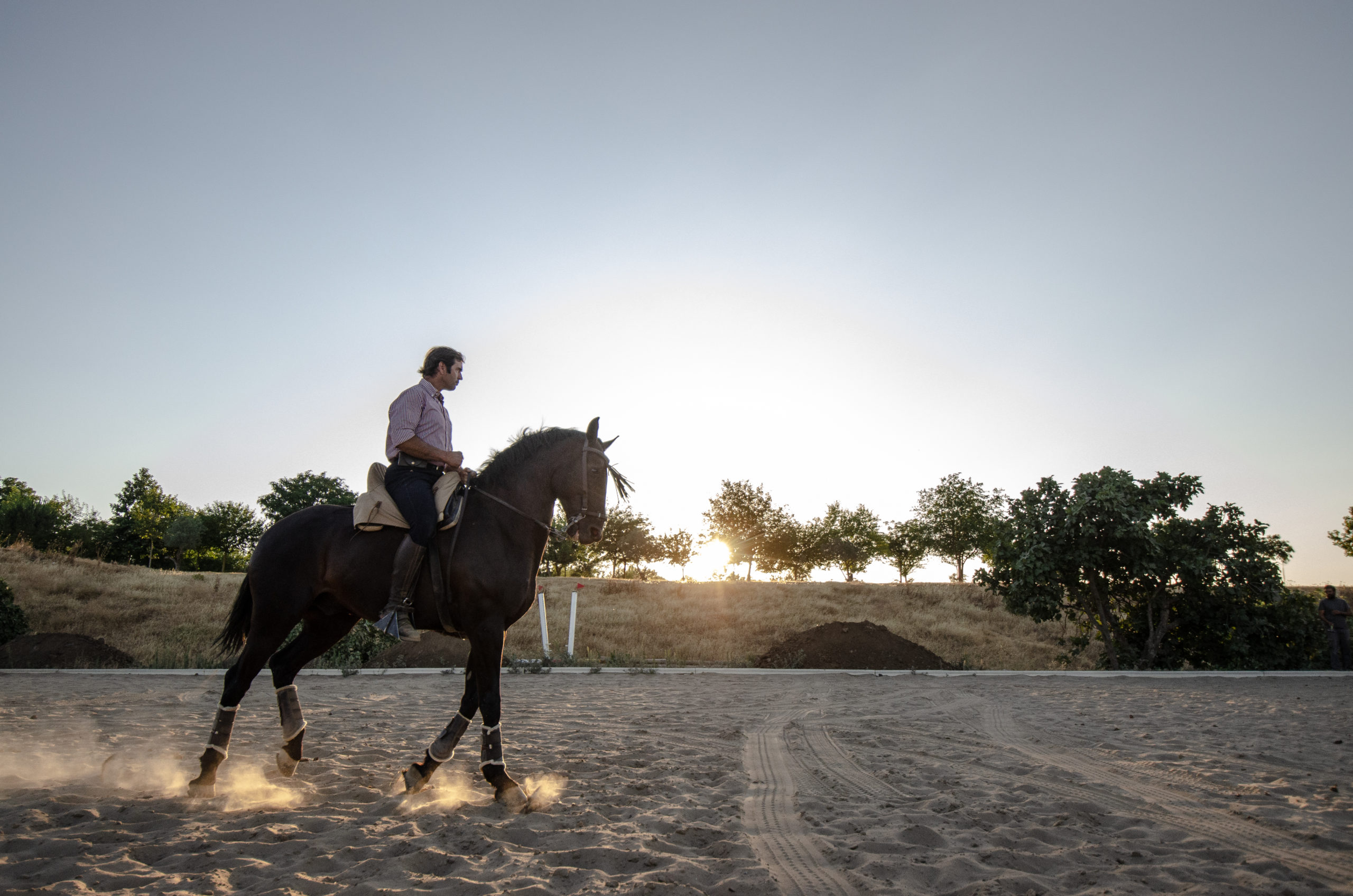 Paseo a caballo